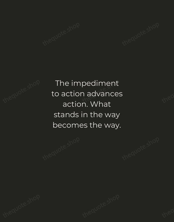The impediment to action advances action. What stands in the way becomes… — Marcus Aurelius — Tracked Caps Unsigned