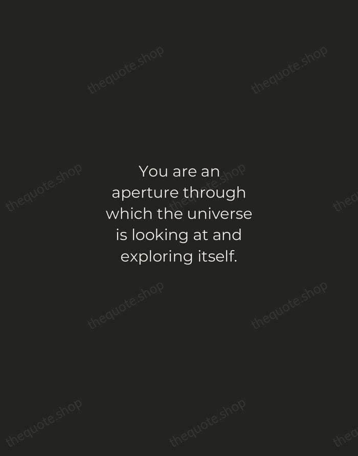 You are an aperture through which the universe is looking at and… — Alan Watts — Tracked Caps Unsigned