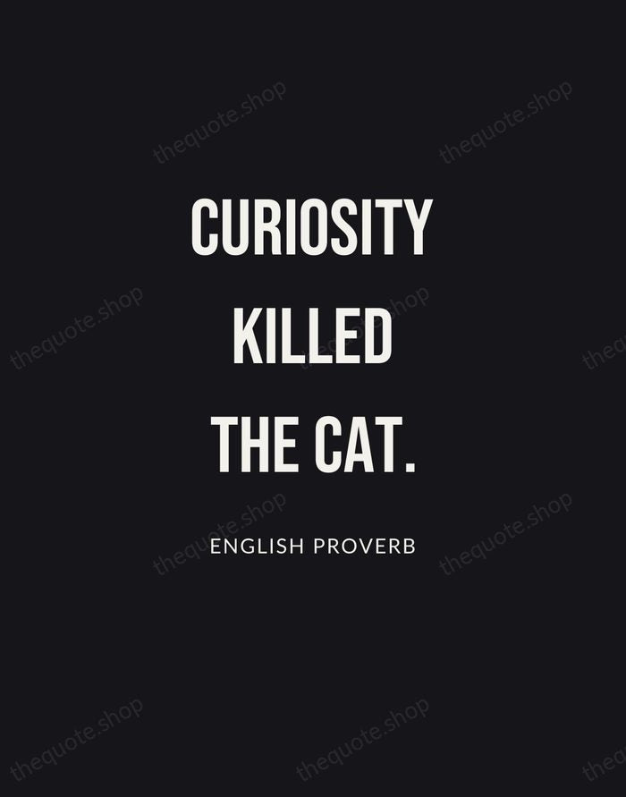 Curiosity killed the cat. — English Proverb | Printable Wall Art — Poster Condensed