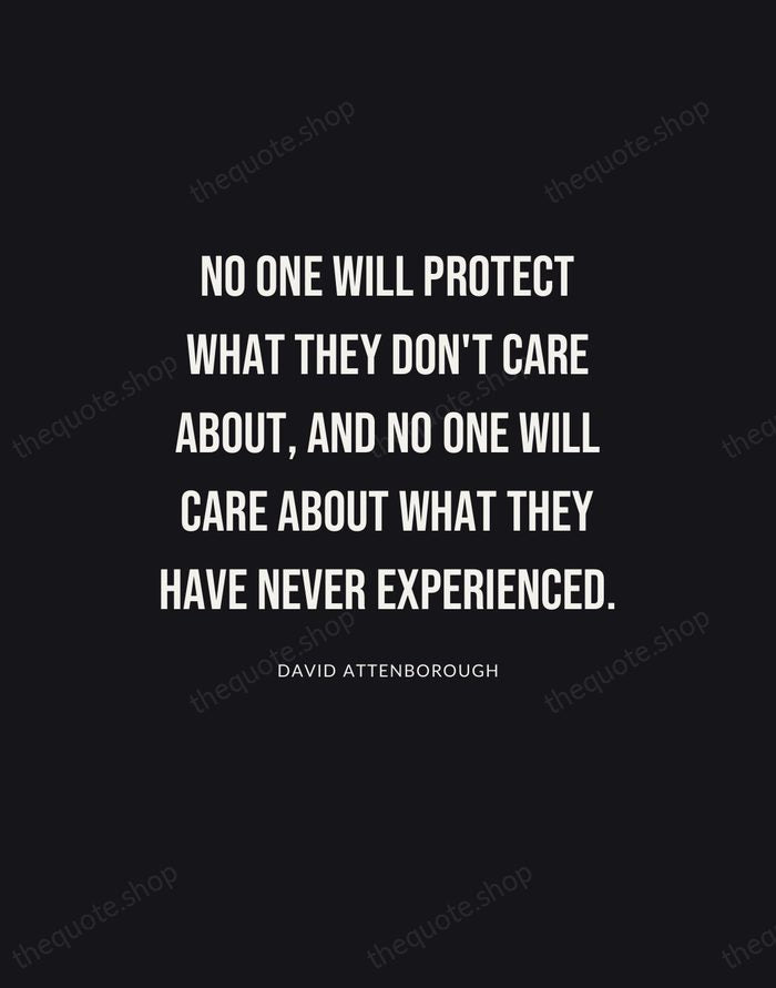 No one will protect what they don't care about, and no one… — David Attenborough | Printable Wall Art — Poster Condensed
