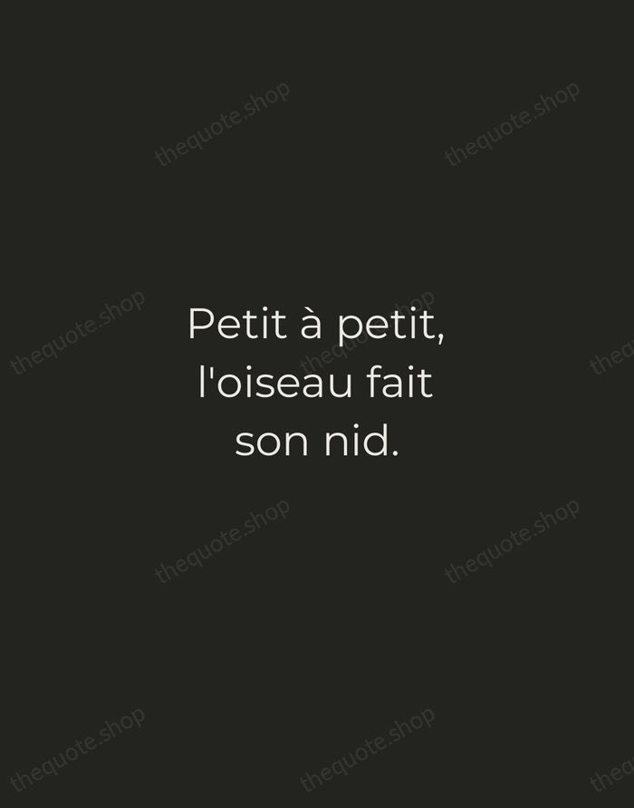 Petit à petit, l'oiseau fait son nid. — French Proverb — Tracked Caps Unsigned
