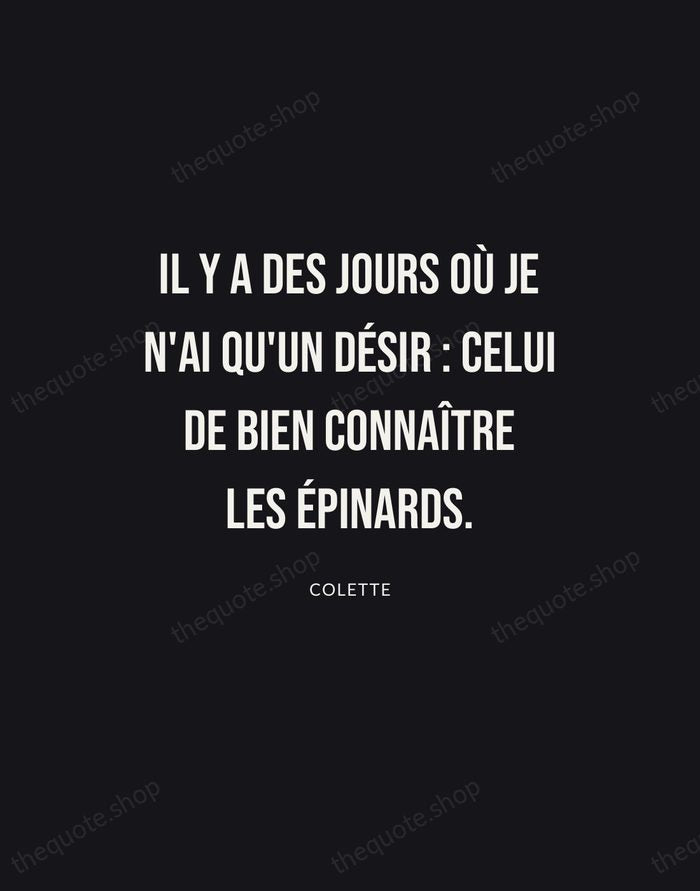Il y a des jours où je n'ai qu'un désir : celui… — Colette | Printable Wall Art — Poster Condensed