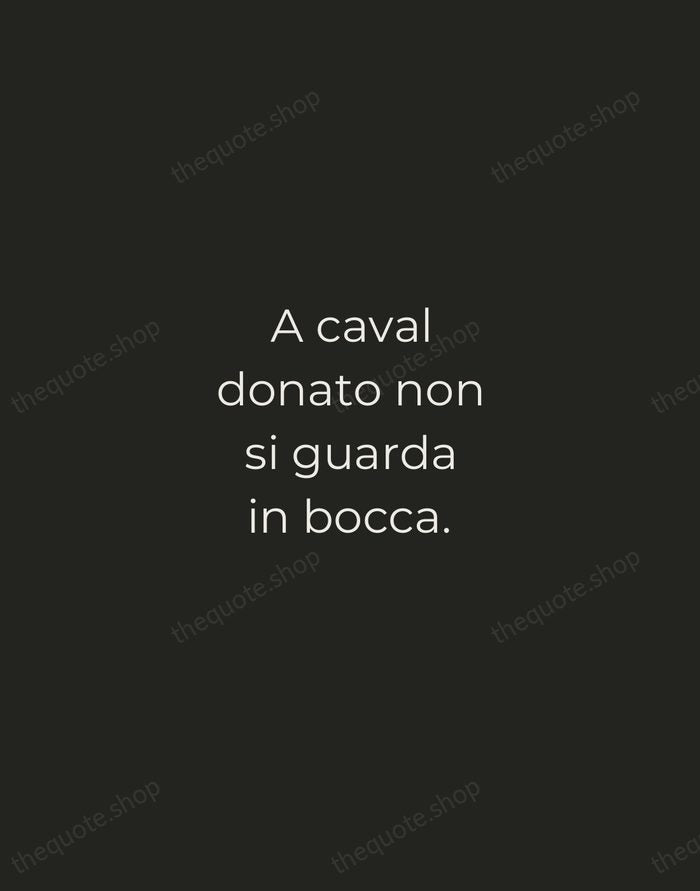 A caval donato non si guarda in bocca. — Italian Proverb — Tracked Caps Unsigned