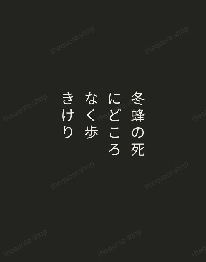 冬蜂の死にどころなく歩きけり — Yosa Buson — Tracked Caps Unsigned