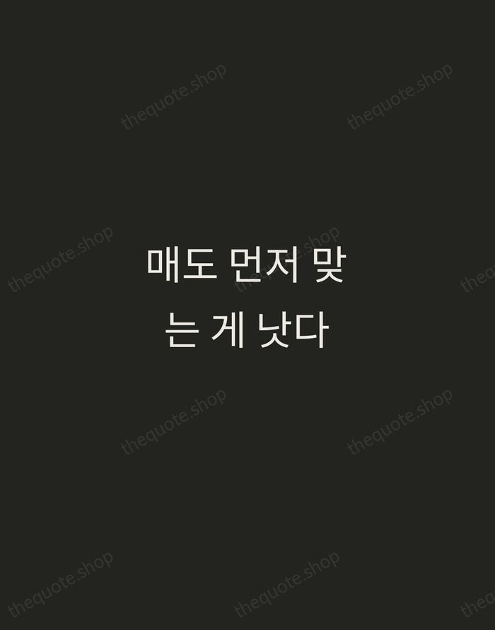 매도 먼저 맞는 게 낫다 — Korean Proverb — Tracked Caps Unsigned