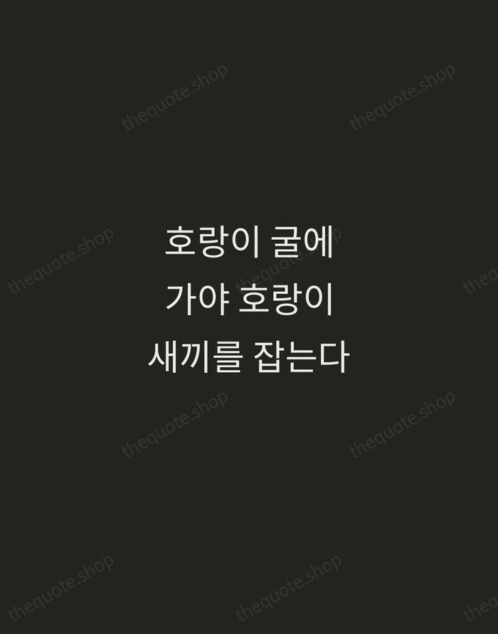 호랑이 굴에 가야 호랑이 새끼를 잡는다 — Korean Proverb — Tracked Caps Unsigned
