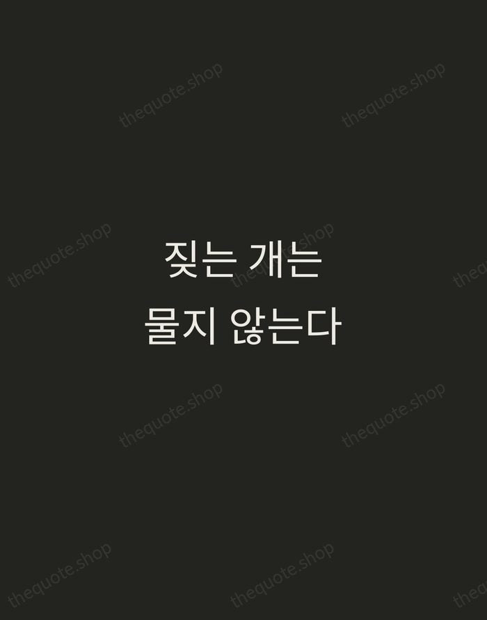 짖는 개는 물지 않는다 — Korean Proverb — Tracked Caps Unsigned