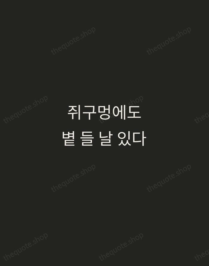 쥐구멍에도 볕 들 날 있다 — Korean Proverb — Tracked Caps Unsigned