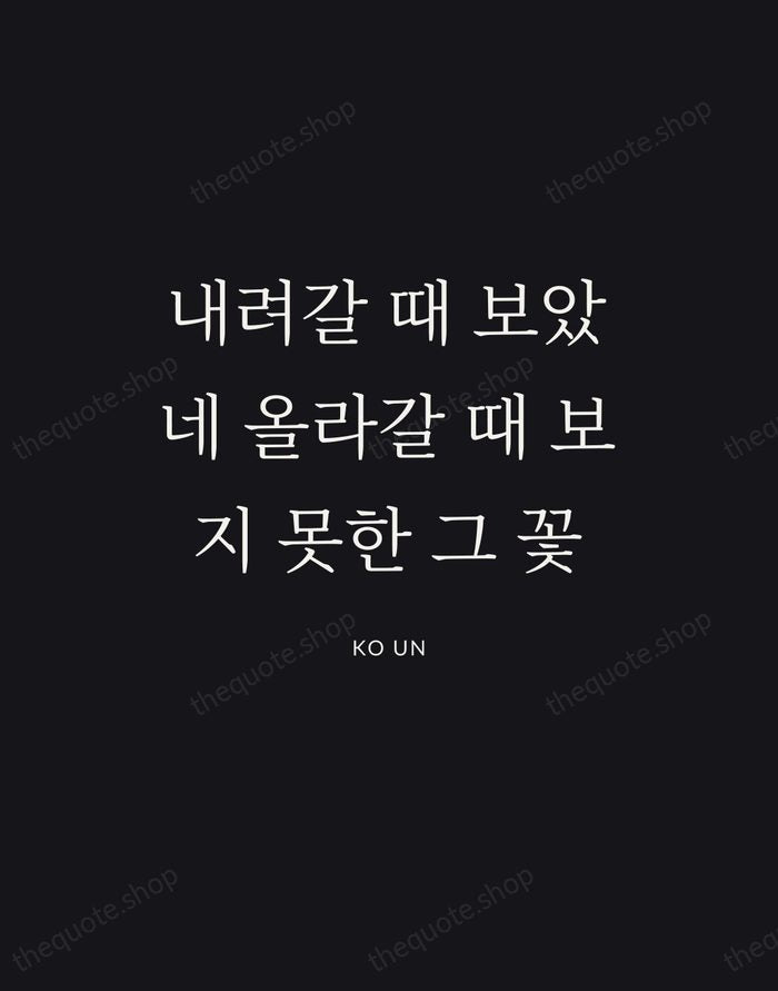 내려갈 때 보았네 올라갈 때 보지 못한 그 꽃 — Ko Un | Printable Wall Art — Poster Condensed