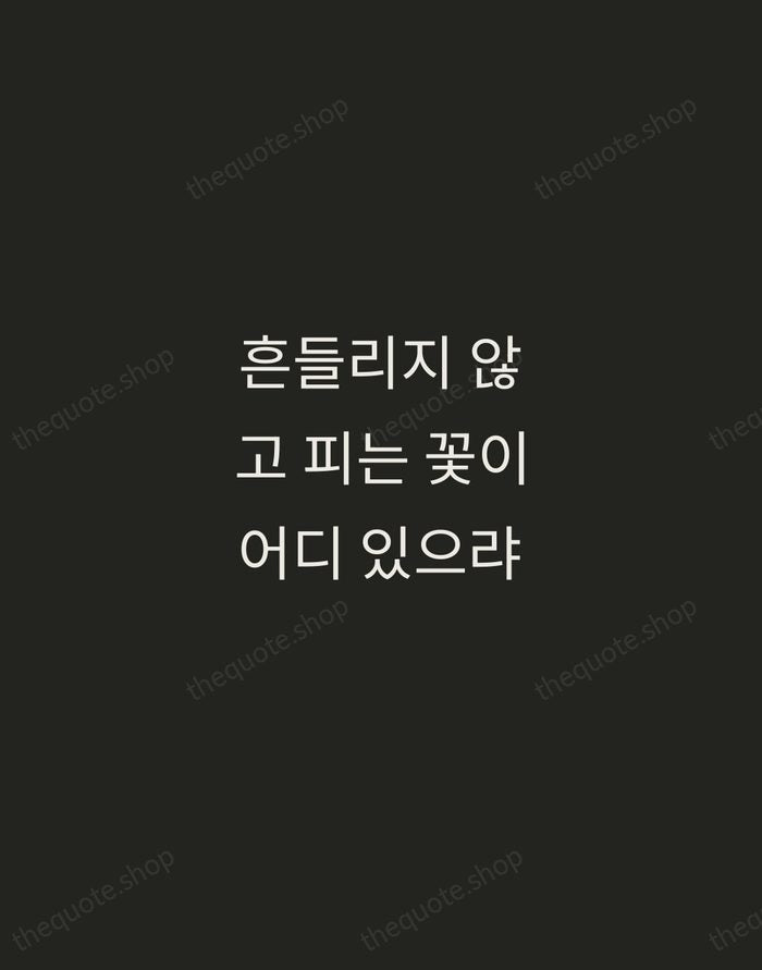 흔들리지 않고 피는 꽃이 어디 있으랴 — Do Jong-hwan — Tracked Caps Unsigned