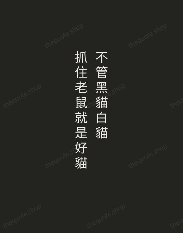 不管黑貓白貓,抓住老鼠就是好貓 — Deng Xiaoping — Tracked Caps Unsigned