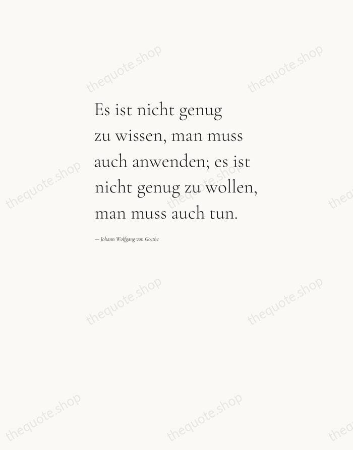Es ist nicht genug zu wissen, man muss auch anwenden; es ist… — Johann Wolfgang von Goethe — Editorial Left Serif