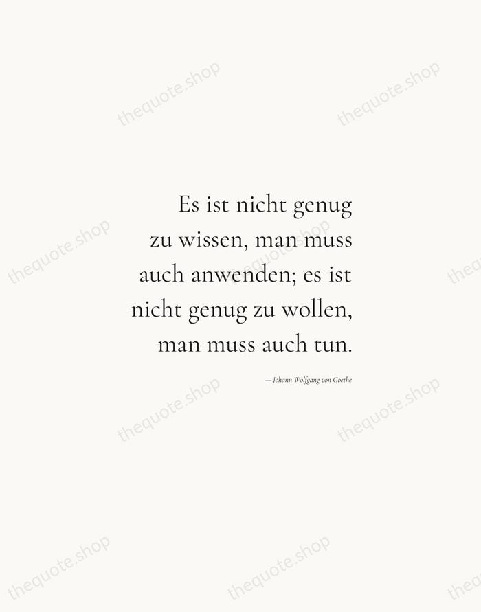 Es ist nicht genug zu wissen, man muss auch anwenden; es ist… — Johann Wolfgang von Goethe — Soft Serif Right