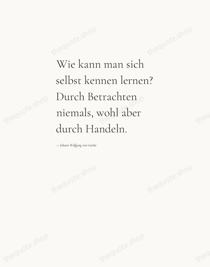 Wie kann man sich selbst kennen lernen? Durch Betrachten niemals, wohl aber… — Johann Wolfgang von Goethe — Editorial Left Serif