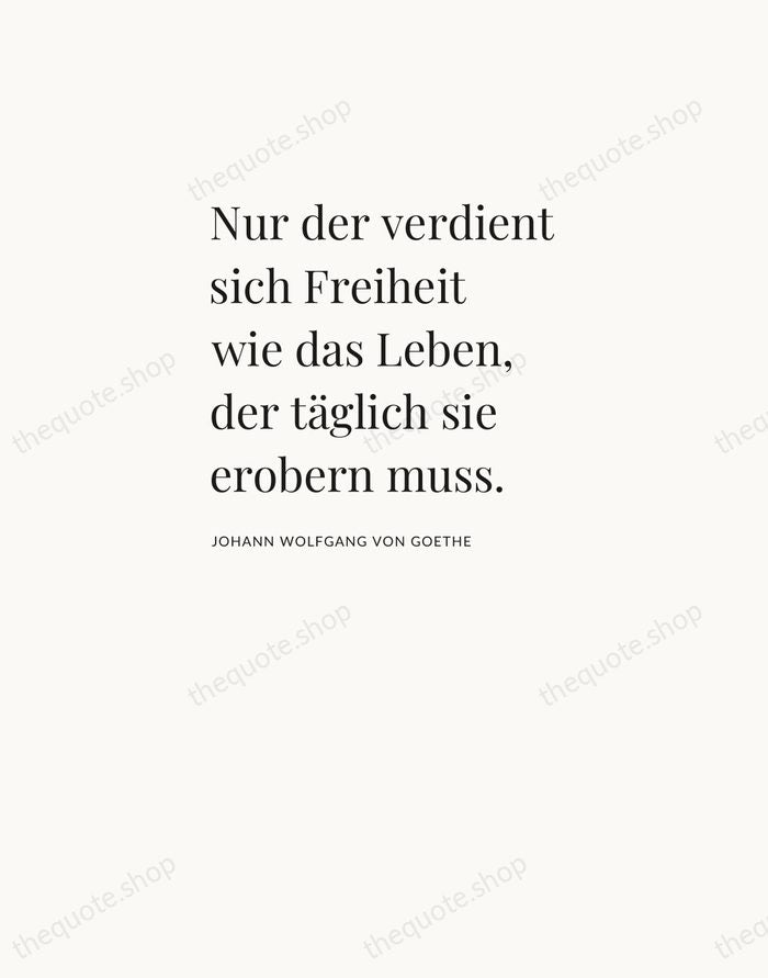 Nur der verdient sich Freiheit wie das Leben, der täglich sie erobern… — Johann Wolfgang von Goethe — Asymmetric Left