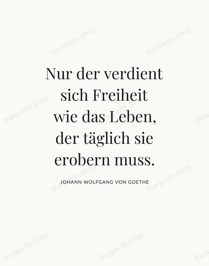 Nur der verdient sich Freiheit wie das Leben, der täglich sie erobern… — Johann Wolfgang von Goethe — Statement Serif
