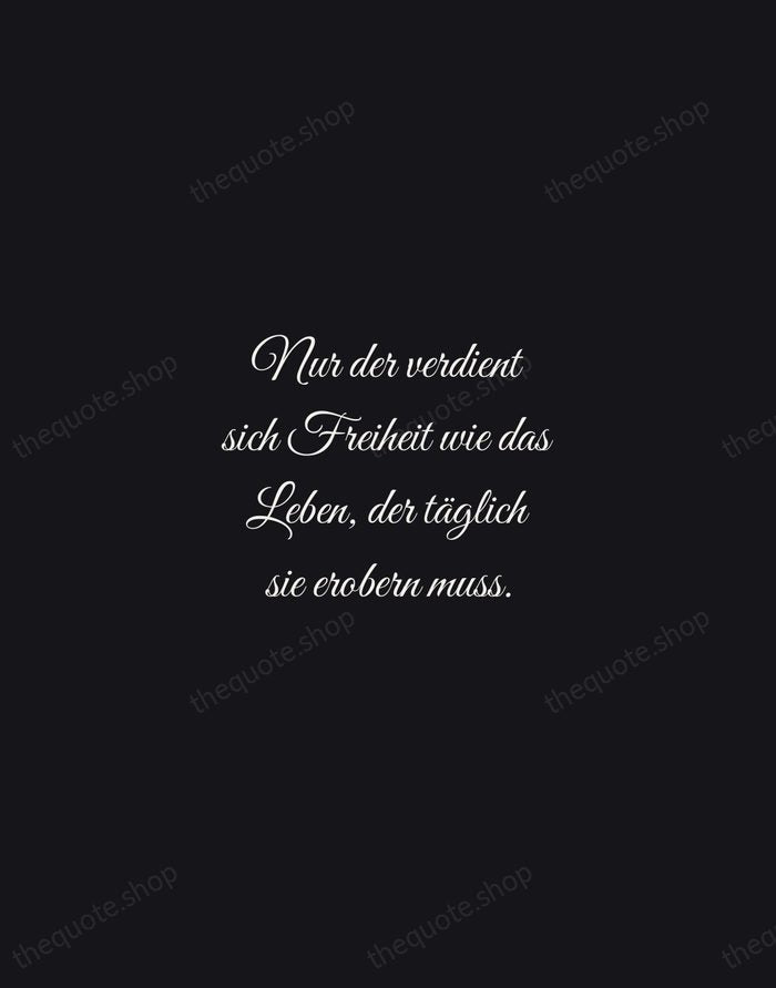 Nur der verdient sich Freiheit wie das Leben, der täglich sie erobern… — Johann Wolfgang von Goethe — Night Script