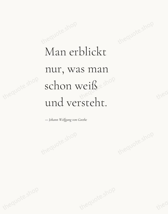 Man erblickt nur, was man schon weiß und versteht. — Johann Wolfgang von Goethe — Editorial Left Serif
