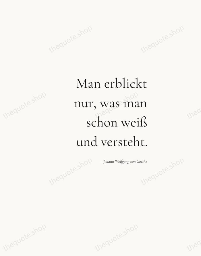 Man erblickt nur, was man schon weiß und versteht. — Johann Wolfgang von Goethe — Soft Serif Right