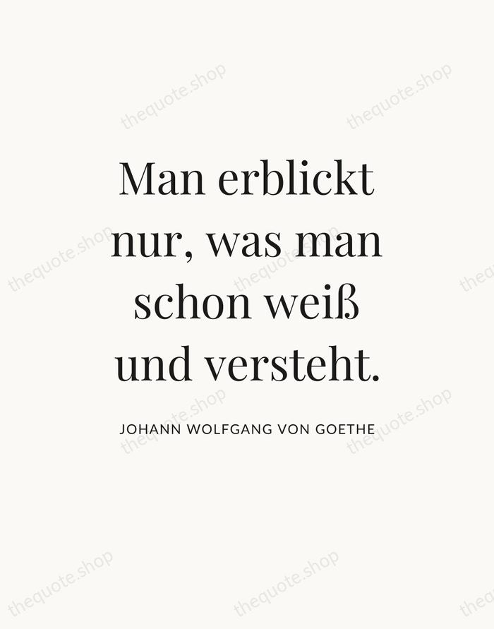 Man erblickt nur, was man schon weiß und versteht. — Johann Wolfgang von Goethe — Statement Serif