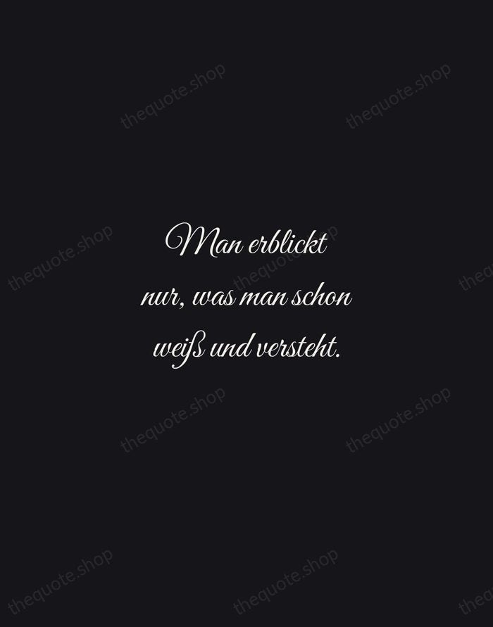 Man erblickt nur, was man schon weiß und versteht. — Johann Wolfgang von Goethe — Night Script