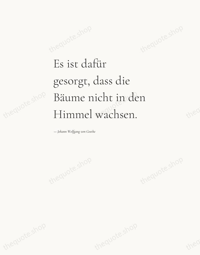 Es ist dafür gesorgt, dass die Bäume nicht in den Himmel wachsen. — Johann Wolfgang von Goethe — Editorial Left Serif