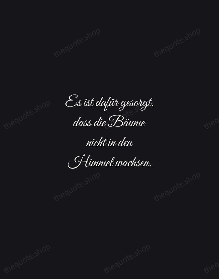 Es ist dafür gesorgt, dass die Bäume nicht in den Himmel wachsen. — Johann Wolfgang von Goethe — Night Script