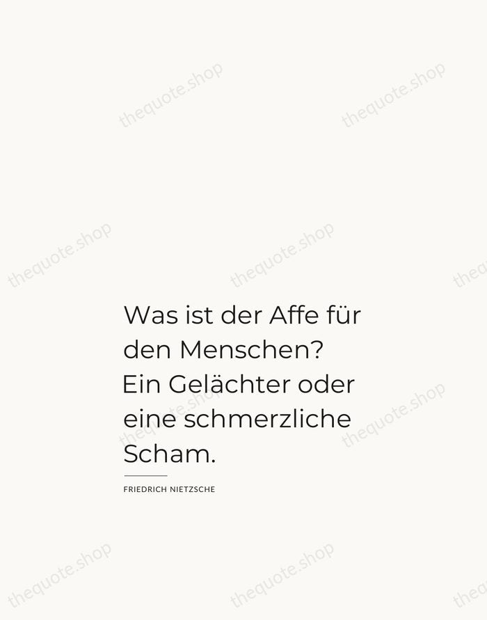Was ist der Affe für den Menschen? Ein Gelächter oder eine schmerzliche… — Friedrich Nietzsche — Studio Left