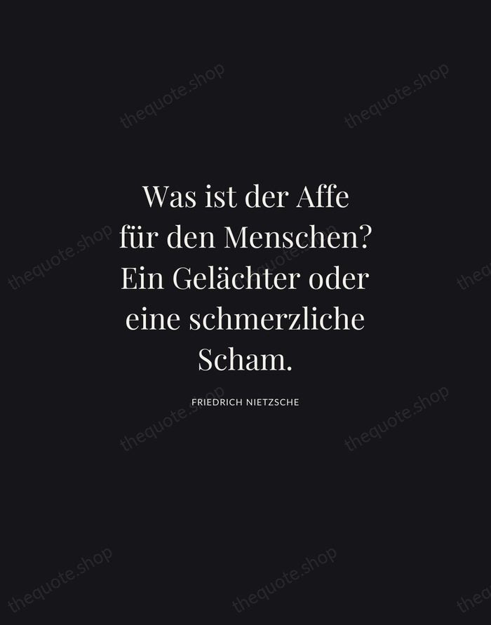 Was ist der Affe für den Menschen? Ein Gelächter oder eine schmerzliche… — Friedrich Nietzsche | Printable Wall Art — Midnight Serif