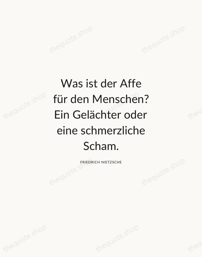 Was ist der Affe für den Menschen? Ein Gelächter oder eine schmerzliche… — Friedrich Nietzsche — Modern Sans Calm