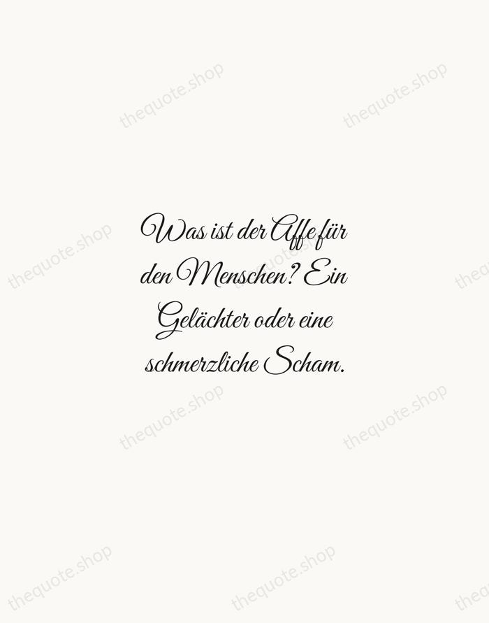 Was ist der Affe für den Menschen? Ein Gelächter oder eine schmerzliche… — Friedrich Nietzsche — Script Whisper