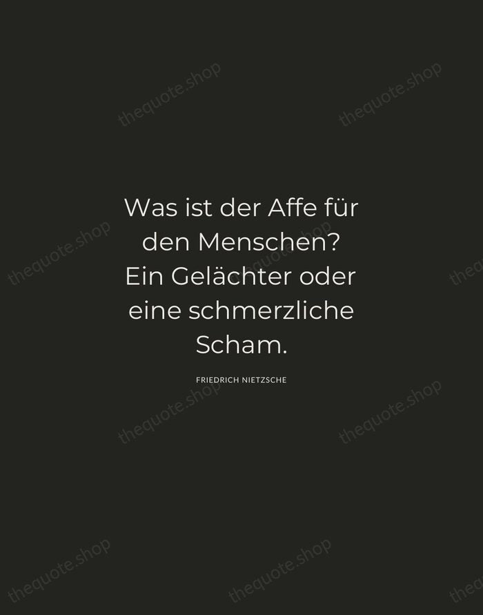 Was ist der Affe für den Menschen? Ein Gelächter oder eine schmerzliche… — Friedrich Nietzsche — Charcoal Sans