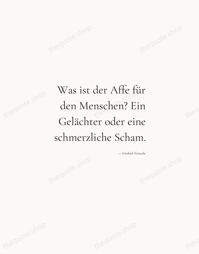 Was ist der Affe für den Menschen? Ein Gelächter oder eine schmerzliche… — Friedrich Nietzsche — Soft Serif Right
