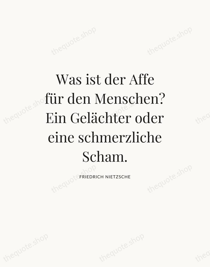 Was ist der Affe für den Menschen? Ein Gelächter oder eine schmerzliche… — Friedrich Nietzsche — Statement Serif
