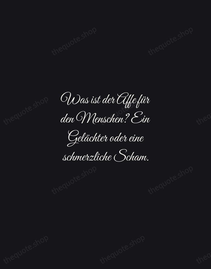 Was ist der Affe für den Menschen? Ein Gelächter oder eine schmerzliche… — Friedrich Nietzsche — Night Script