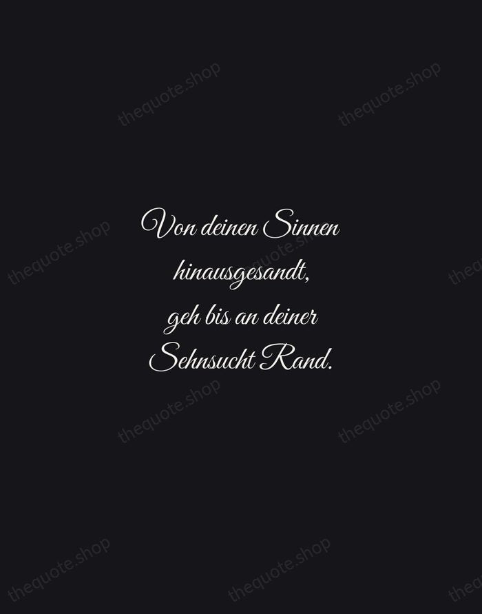 Von deinen Sinnen hinausgesandt, geh bis an deiner Sehnsucht Rand. — Rainer Maria Rilke — Night Script