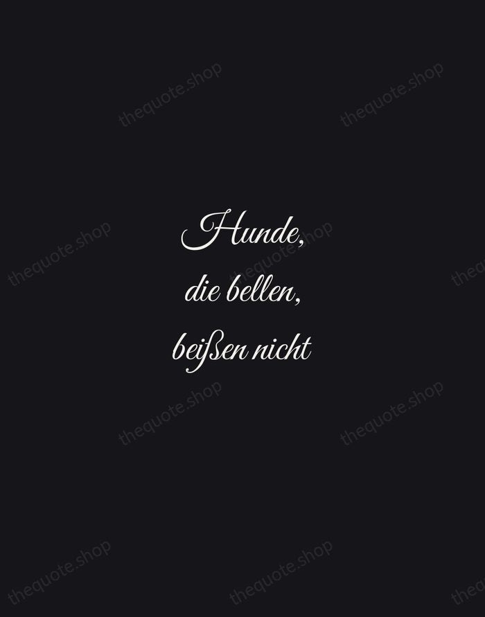 Hunde, die bellen, beißen nicht — German Proverb — Night Script