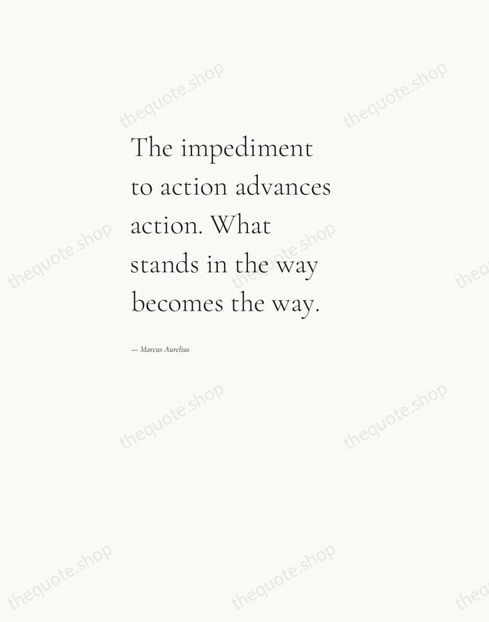 The impediment to action advances action. What stands in the way becomes… — Marcus Aurelius — Editorial Left Serif