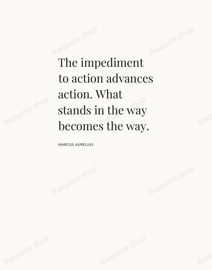 The impediment to action advances action. What stands in the way becomes… — Marcus Aurelius — Asymmetric Left