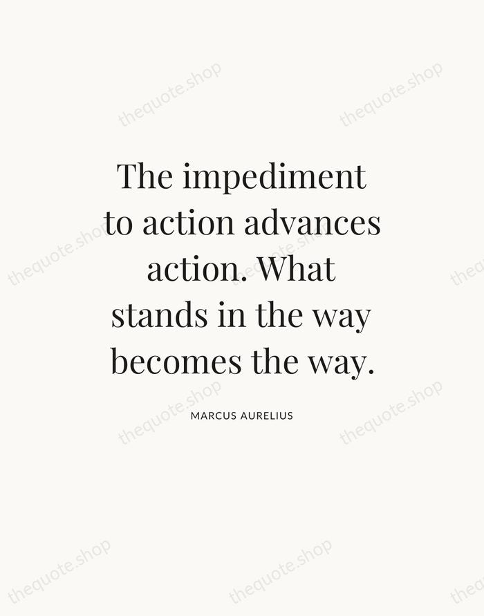The impediment to action advances action. What stands in the way becomes… — Marcus Aurelius — Statement Serif