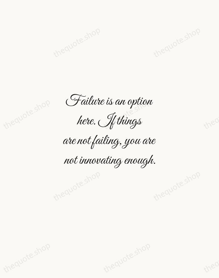 Failure is an option here. If things are not failing, you are… — Elon Musk — Script Whisper
