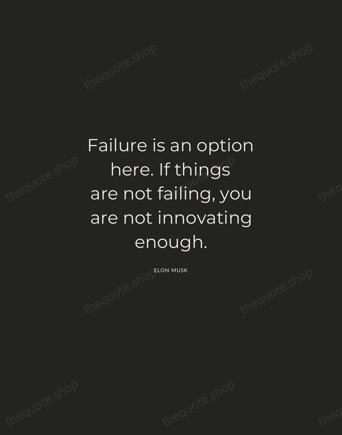 Failure is an option here. If things are not failing, you are… — Elon Musk — Charcoal Sans