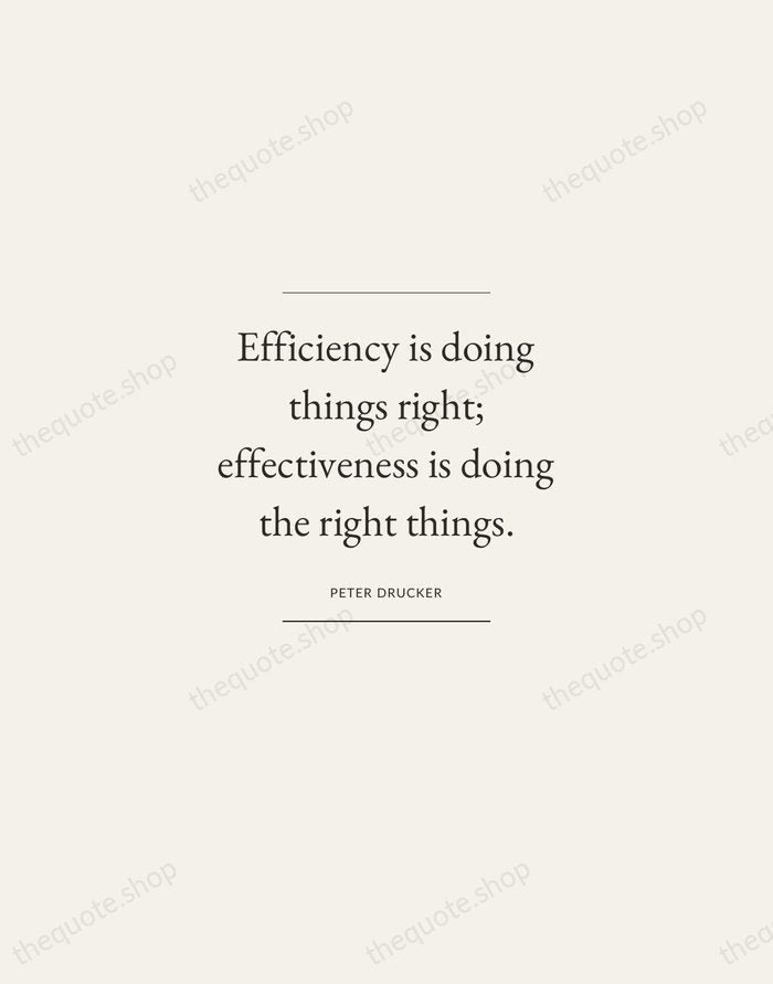Efficiency is doing things right; effectiveness is doing the right things. — Peter Drucker — Gallery Frame