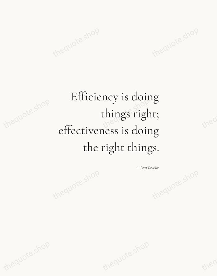 Efficiency is doing things right; effectiveness is doing the right things. — Peter Drucker — Soft Serif Right