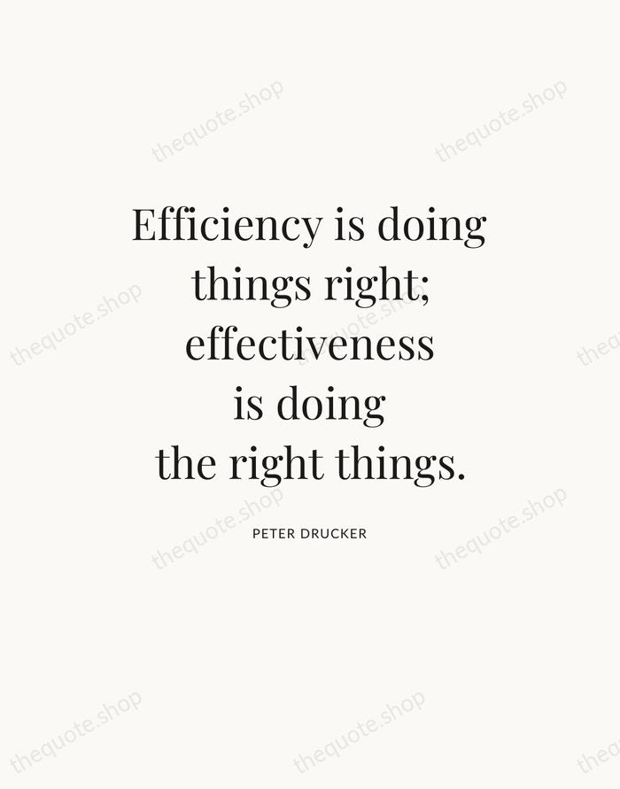 Efficiency is doing things right; effectiveness is doing the right things. — Peter Drucker — Statement Serif
