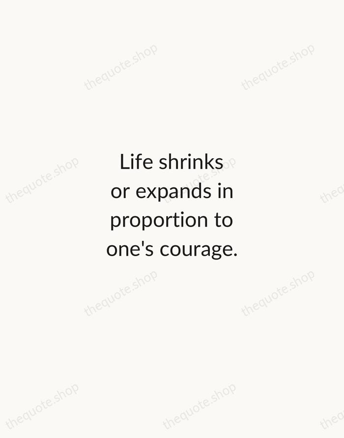 Life shrinks or expands in proportion to one's courage. — Anais Nin — Minimal Unsigned