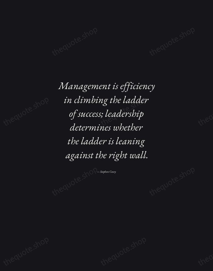 Management is efficiency in climbing the ladder of success; leadership determines whether… — Stephen Covey — Manuscript Italic