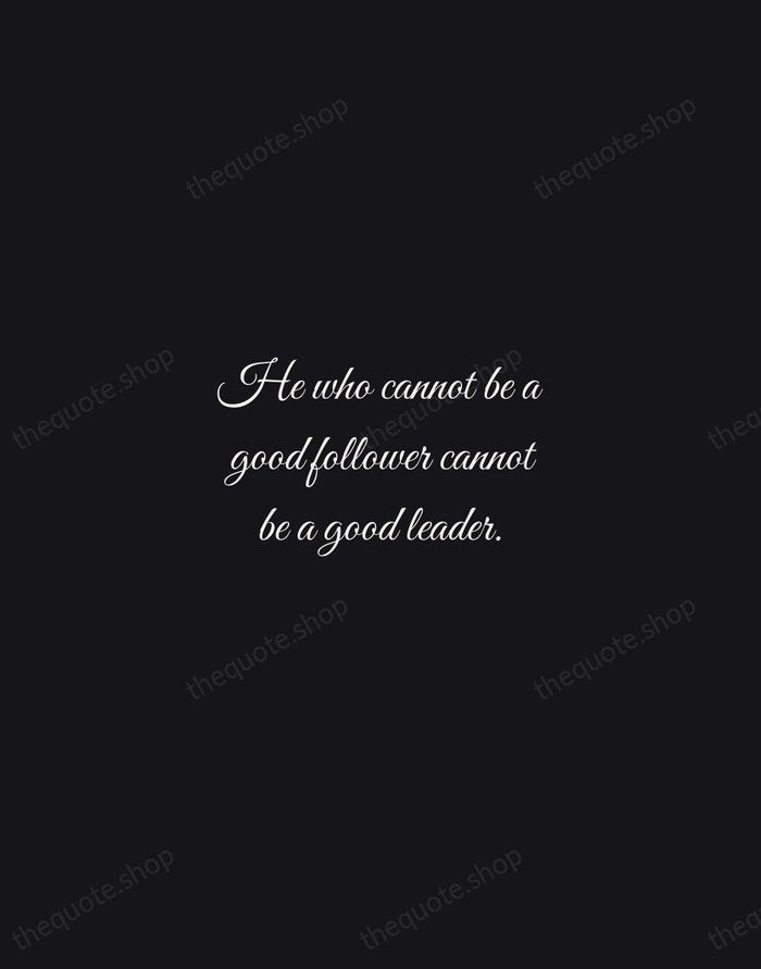 He who cannot be a good follower cannot be a good leader. — Aristotle — Night Script