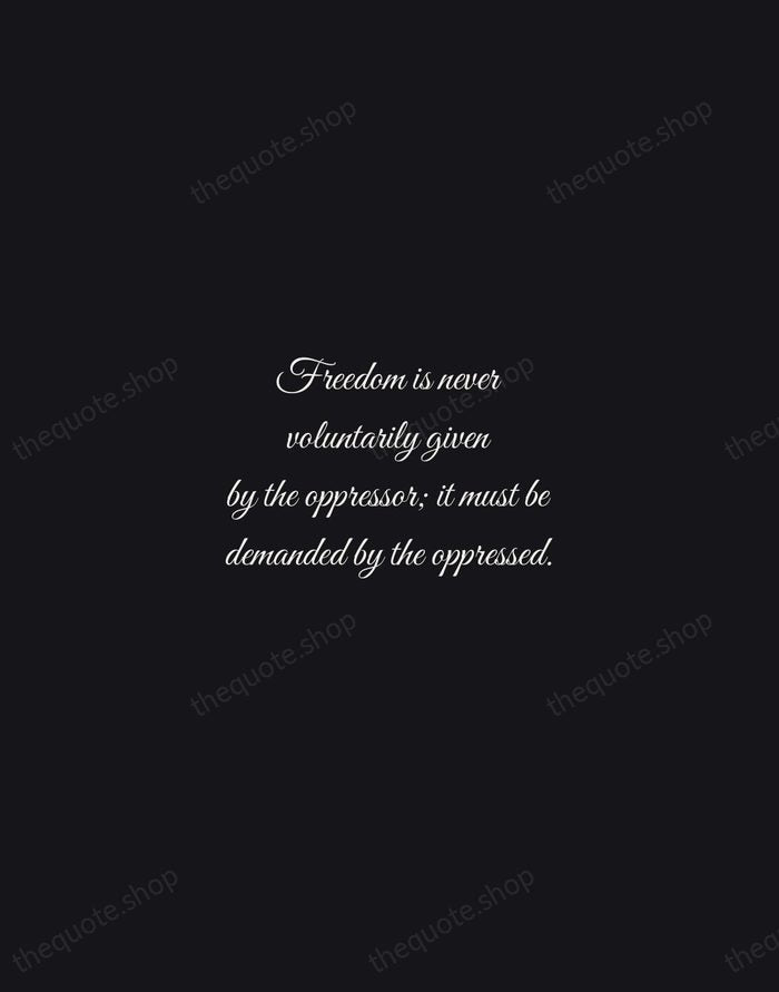 Freedom is never voluntarily given by the oppressor; it must be demanded… — Martin Luther King Jr. — Night Script
