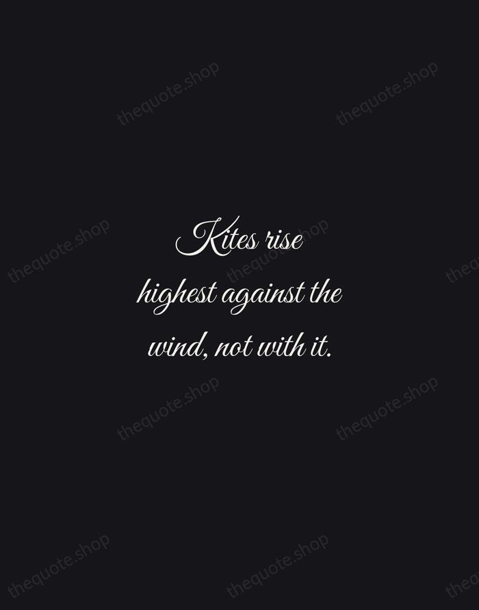 Kites rise highest against the wind, not with it. — Winston Churchill — Night Script